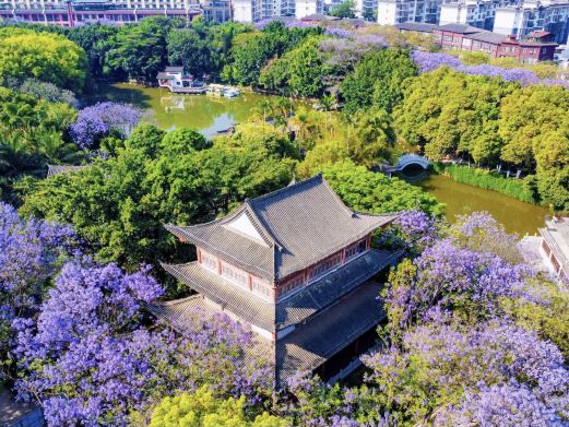 泸江公园