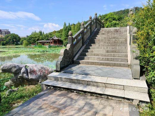 樟树广场