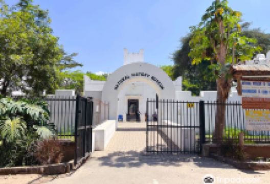 Old Boma Museum景点图片