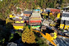 祇园禅寺-青阳-阿诚的白日梦