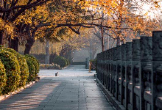 白马寺景点图片