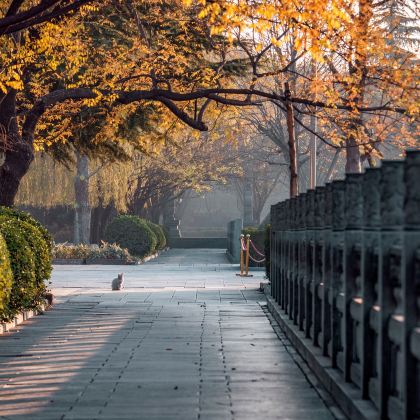 陕西+河南9日8晚跟团游