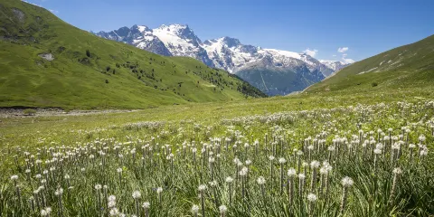 埃克蘭國家公園