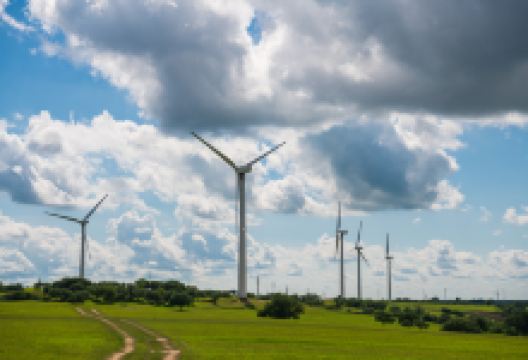 杜尔伯特草原景点图片