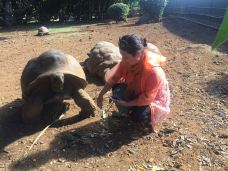 七色土-毛里求斯-Hej Hej Tiffany