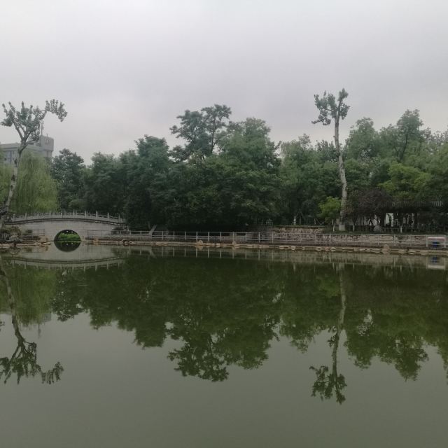 莲湖公园旅行图片 12