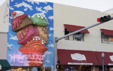 小哈瓦那-迈阿密-小小呆60