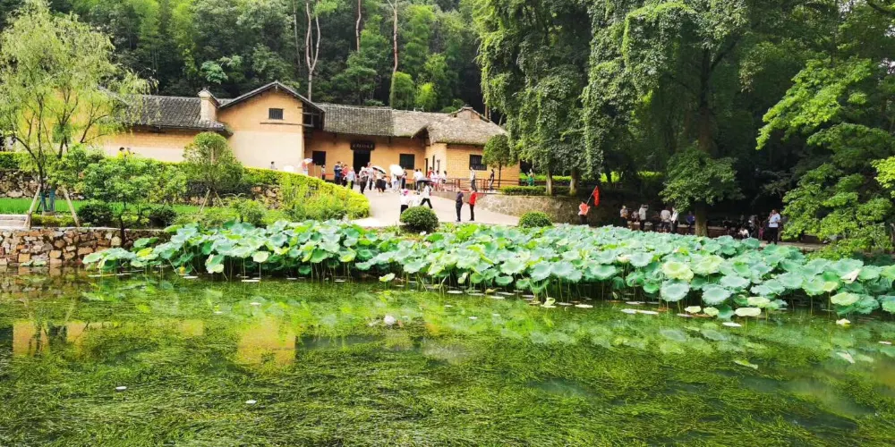 永安旅遊
