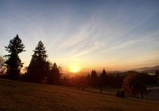 本那比山公园-本那比-小凌60