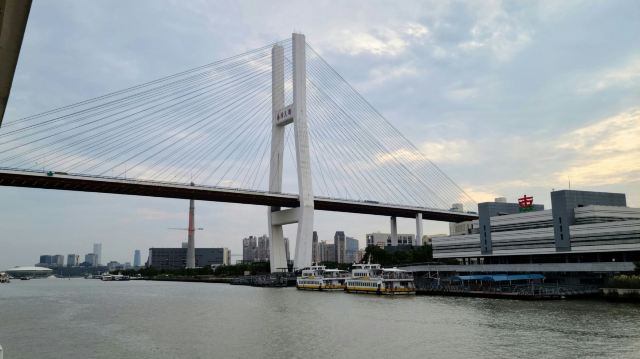 大桥公园旅行图片 1