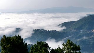 藏在大山深处的美丽风景，被称为天府之肺，看一眼就爱了