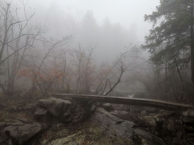 马鬃岭景区旅行图片 7