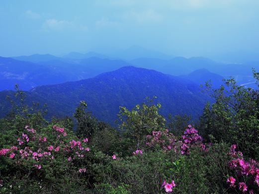清溪森林公园