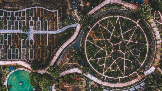 中國月季園