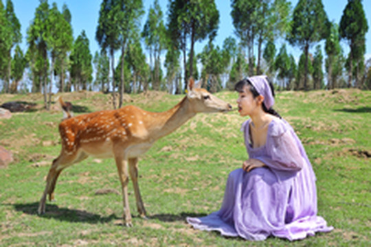 郑州游记图片] 伏羲山亲水避暑节开始了 郑州人为什么喜欢来这儿消夏休闲