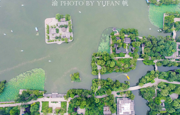 中国第一泉水湖，近日开出罕见并蒂莲，成为5A景区新景观