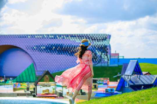 贺国庆,赞盛世,荷兰花海万千风情