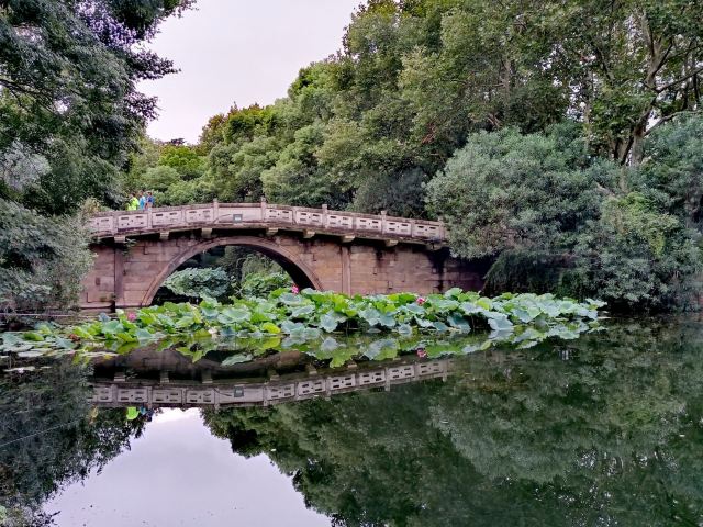 天山公园旅行图片 2