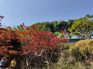 西津渡，中国古渡博物馆（上）