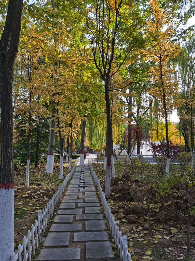 学府公园旅行图片 6