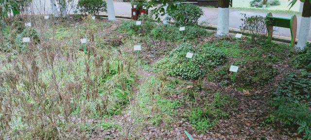 贵阳药用植物园旅行图片 9