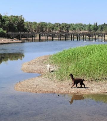 巴楚游记图文-大美新疆游之十五-巴楚红海湾、尉頭洲