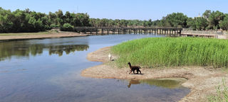 大美新疆游之十五-巴楚红海湾、尉頭洲