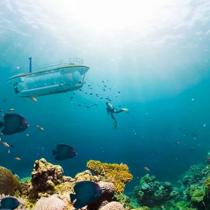 越南胡志明市+芽庄+美奈9日8晚自由行