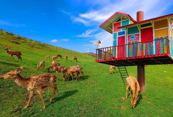 高椅岭+仰天湖大草原一日游【1-8人/纯玩无购物/天天发团】【[行程自由]定制您喜欢的线路，不懂郴州内咨询】