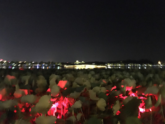 西湖,最爱黄昏行不足(下)