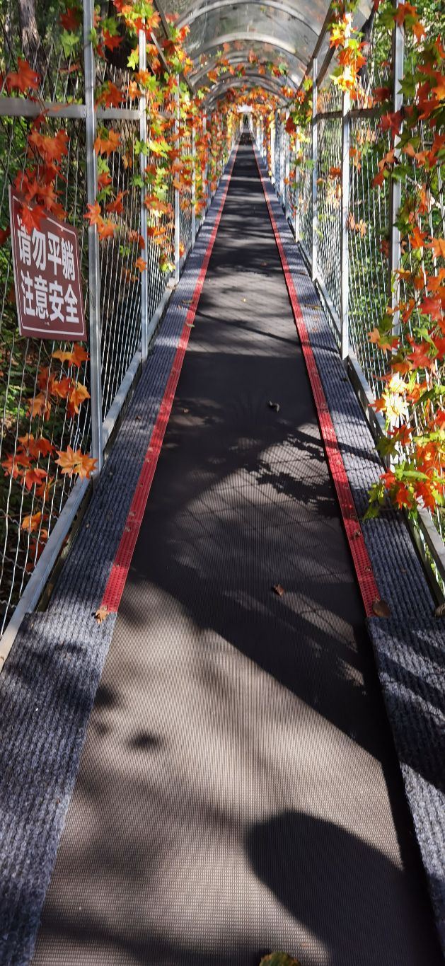 鸡冠山国家森林公园旅行图片 1