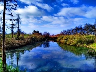 昆明周边周末踏青四线小众景点：湿地、森林草场、沙滩、民俗小镇