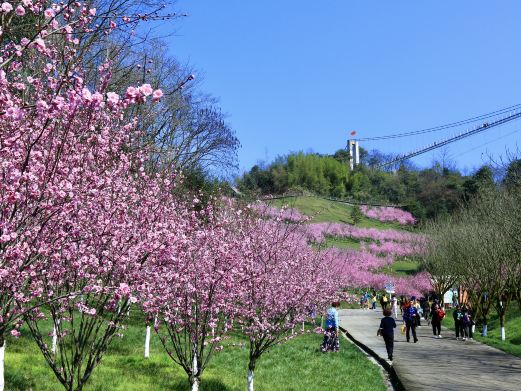 天府花溪谷景区