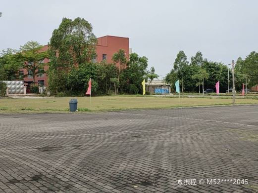 亚马逊部落