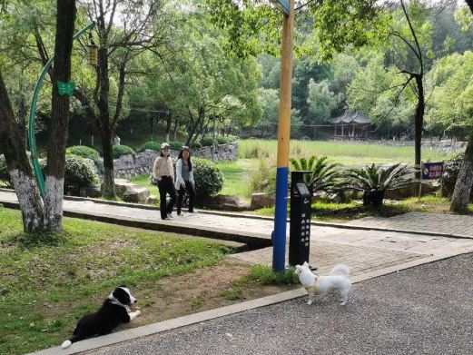镜山森林公园