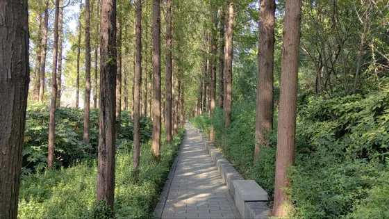濉溪園林