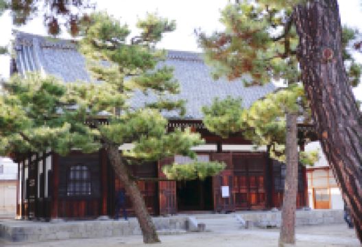 智恩寺景点图片