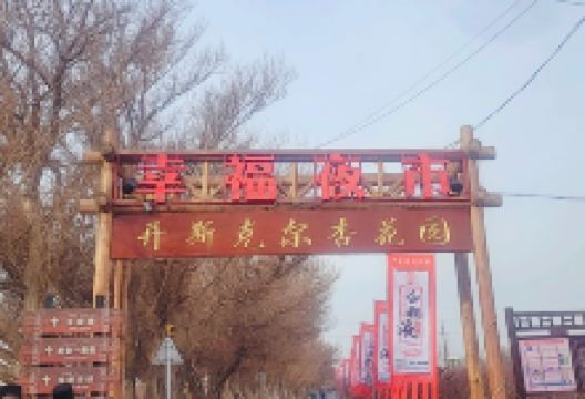 托克逊杏花园景点图片