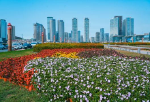 星海广场景点图片