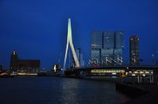 伊拉斯谟斯大桥-鹿特丹-野枫印象