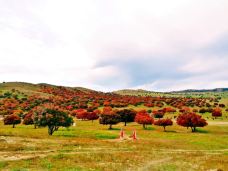 驼峰岭天池-扎兰屯-Saweizhen