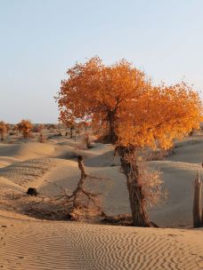 塔里木沙漠公路-且末-JJ77