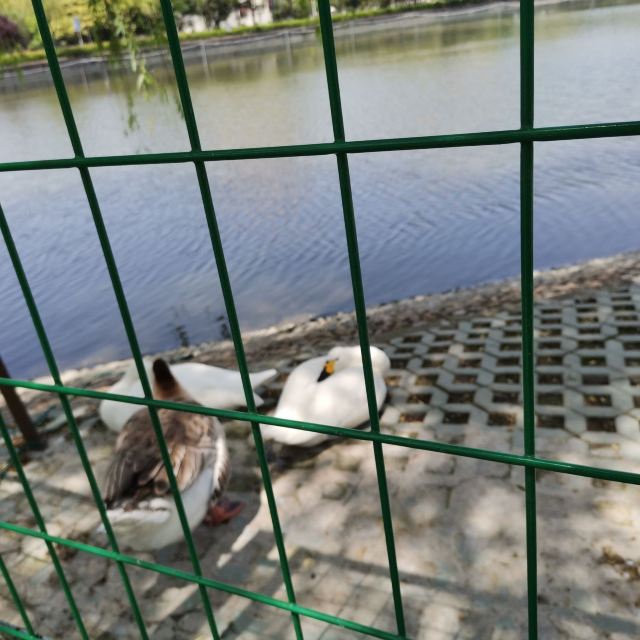 大望京公园旅行图片 2