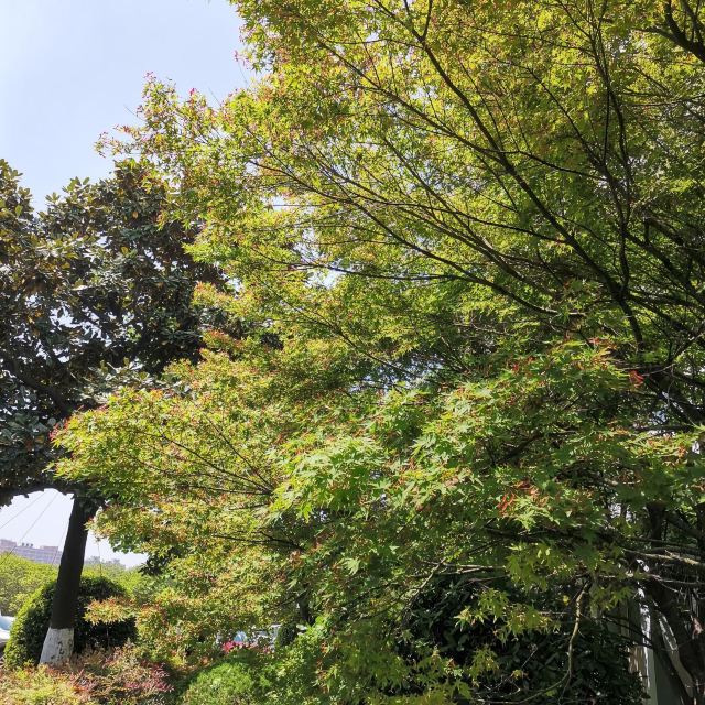 大望京公园旅行图片 3