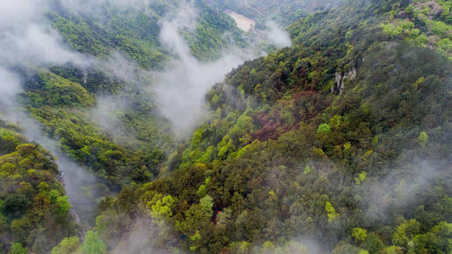 宁波网红打卡地，这三个被低估了的宝藏避暑胜地，出片率还很高