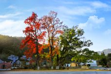 三湾改编景区-永新-C-IMAGE