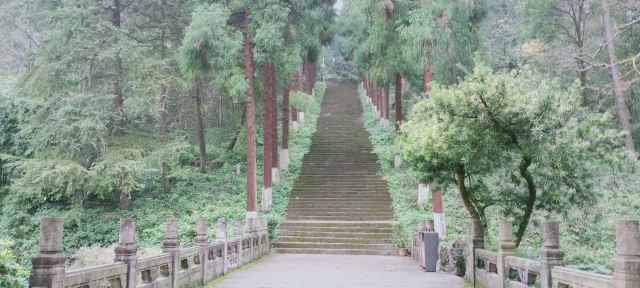 凤凰山国家森林公园旅行图片 4