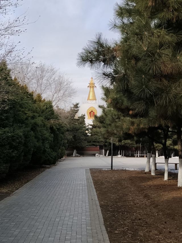 皇姑北塔公园旅行图片 4