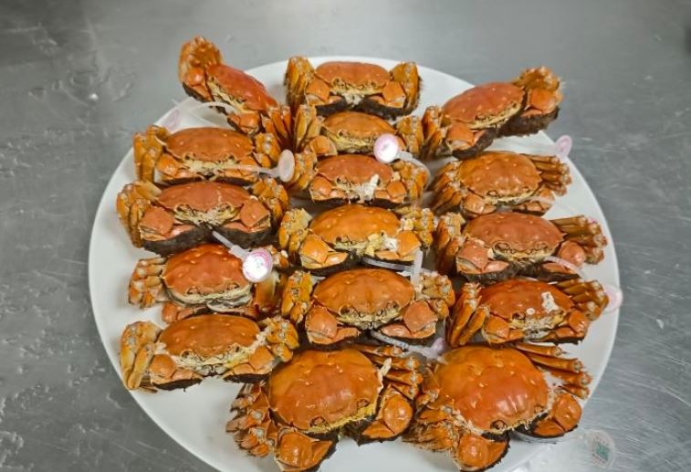 苏州阳澄半岛英迪格酒店·澄16餐厅