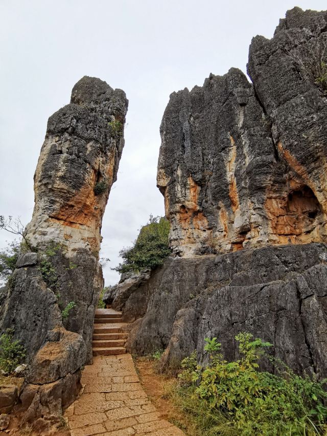 乃古石林风景区旅行图片 10